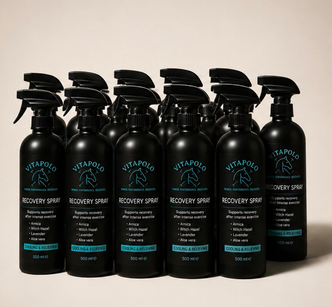 12 bottle pro string bundle