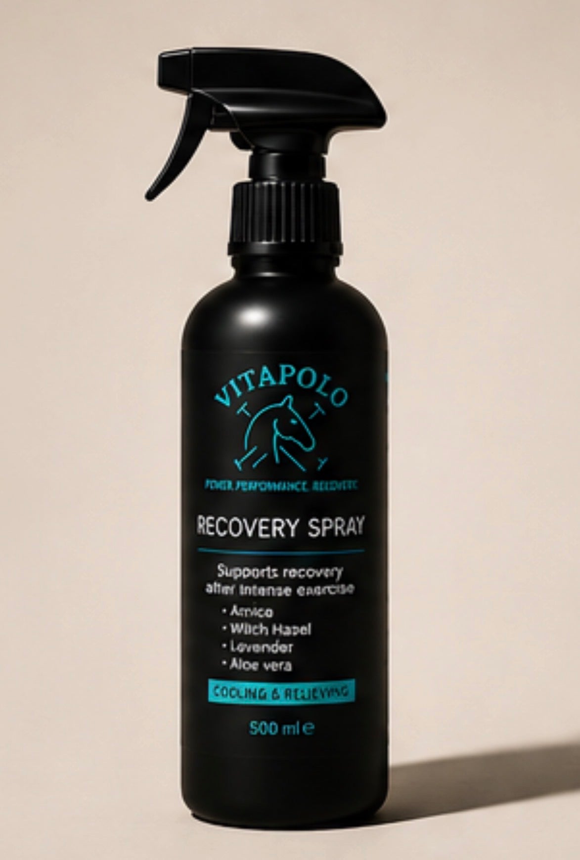 Recovery Spray